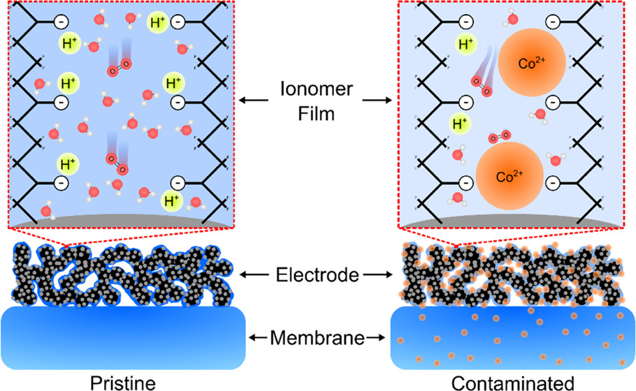 Fuel cell diagram